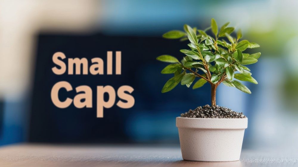 Small_caps_en_avant